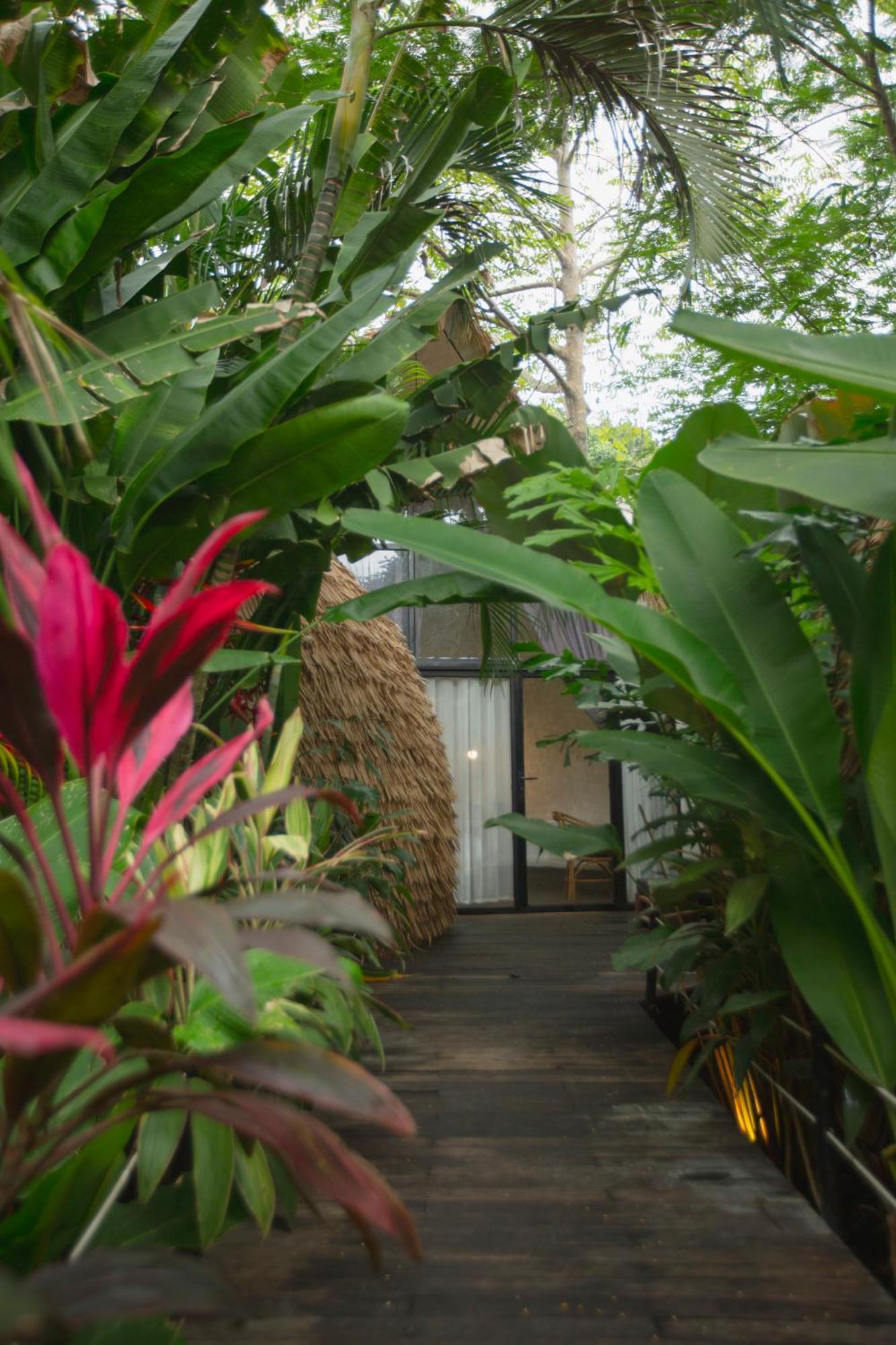 Panorama Boutique Hotel & Beach Club (Adults Only) El Nido Εξωτερικό φωτογραφία